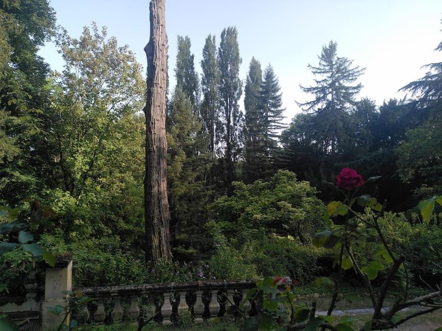 Magnifiques Ecuries Juste Renovees - Domaine De La Mulotiere Villa ลองเฌส์ ภายนอก รูปภาพ