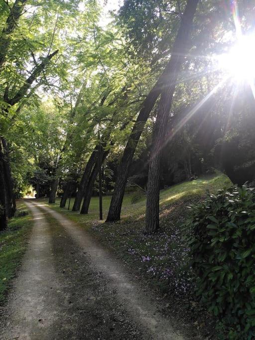 Magnifiques Ecuries Juste Renovees - Domaine De La Mulotiere Villa ลองเฌส์ ภายนอก รูปภาพ
